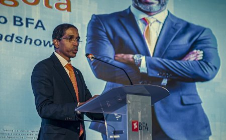 BFA dá início à Oferta Pública de Venda de 29,75% do capital social